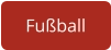 Fußball