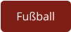 Fußball