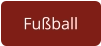 Fußball