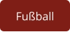 Fußball