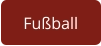 Fußball